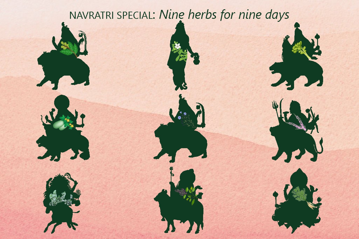Navratri Special | Nine Herbs for Nine Days