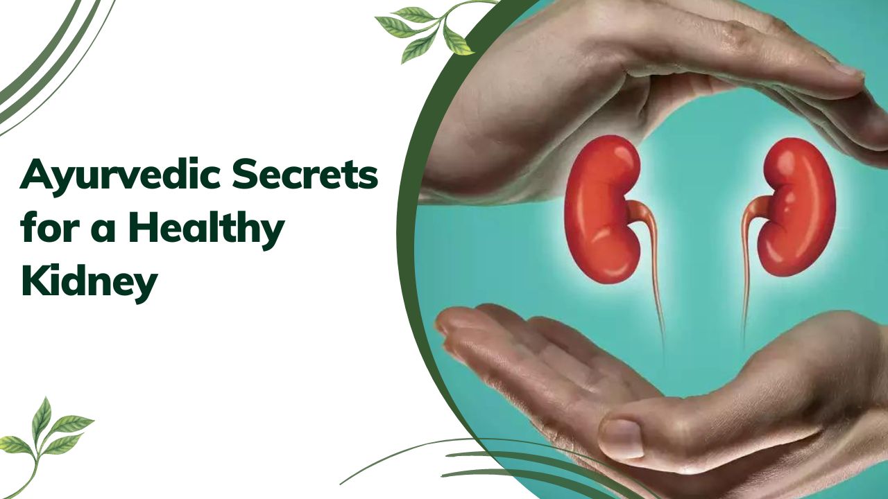 Ayurvedic Secrets for a Healthy Kidney