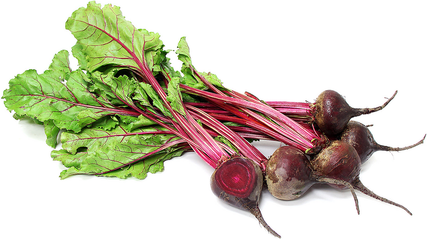 Beets 