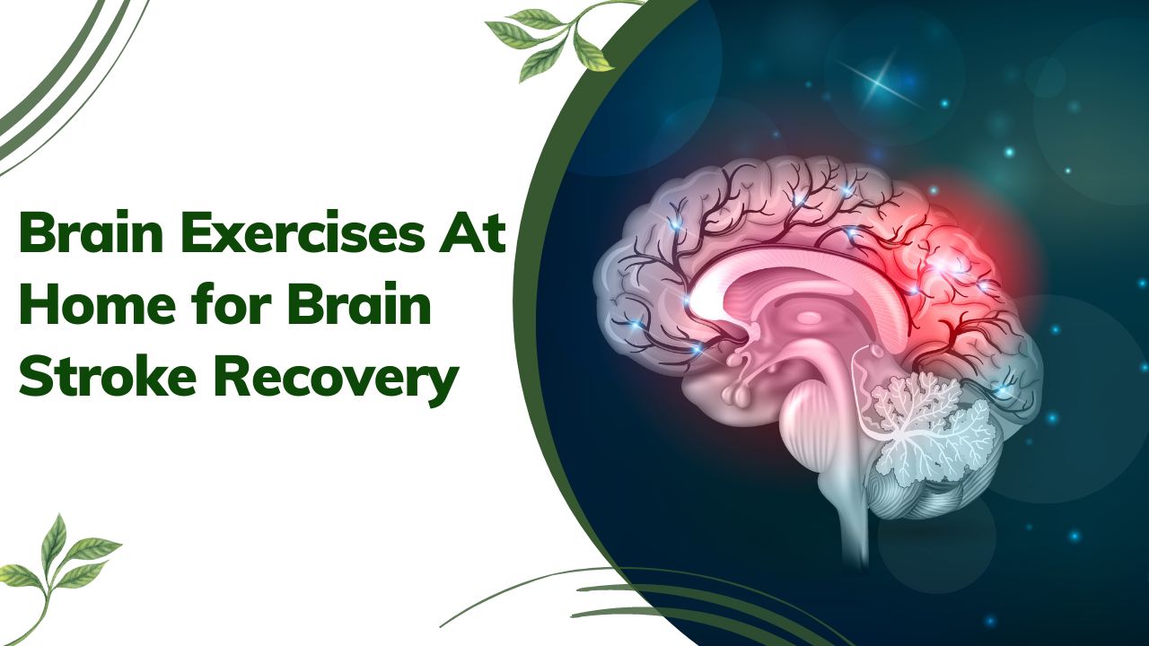 Brain Exercises At Home for Brain Stroke Recovery