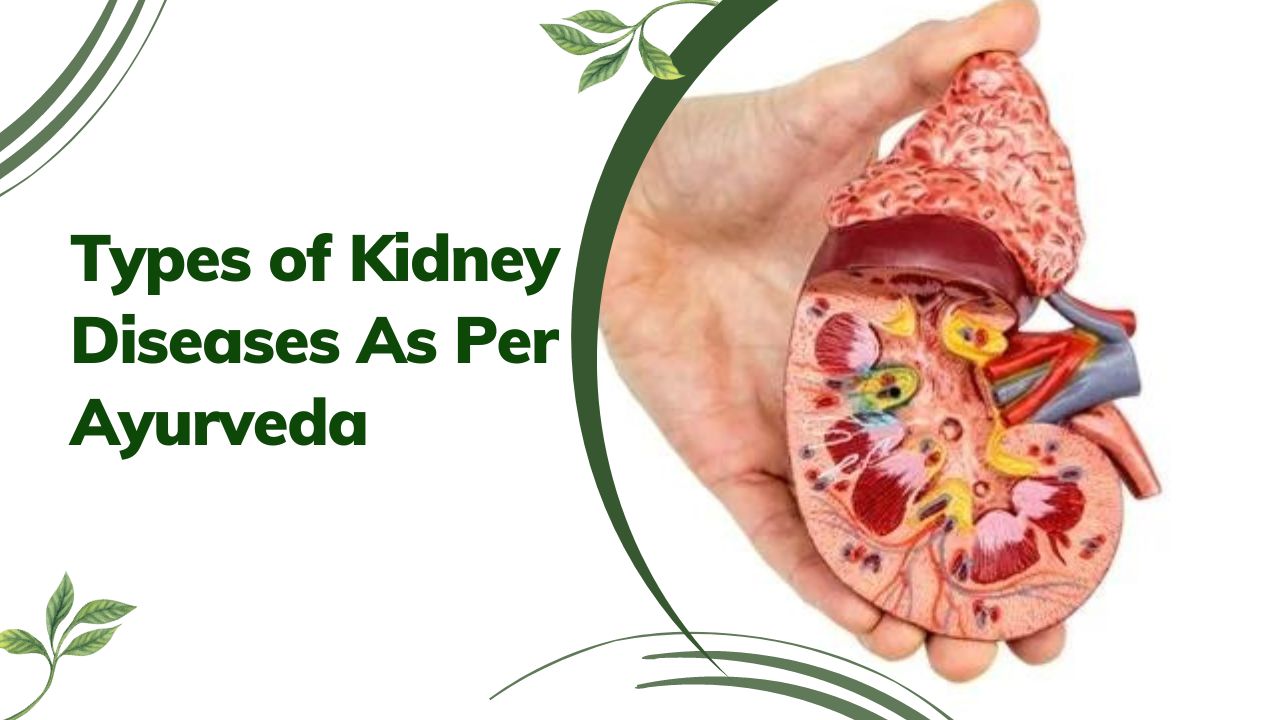 Types of Kidney Diseases As Per Ayurveda